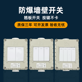 Explosion-proof 86 wall explosion-proof switch, exposed and concealed wall explosion-proof lighting switch, single open, double open, three open, 10a1 explosion-proof two open switch