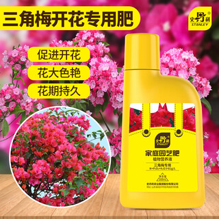 Stanley bougainvillea flower special flower fertilizer nutrient solution household potted flower plant flowering fertilizer 500ml