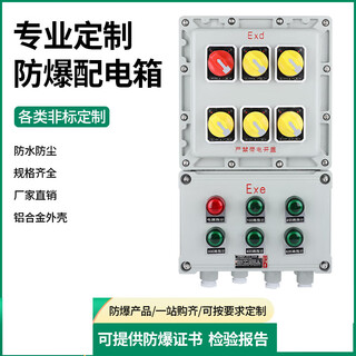 Suitable for explosion-proof lighting power switch distribution box instrument electric control cabinet stainless steel wiring starting source explosion-proof eight circuit + main switch cast aluminum