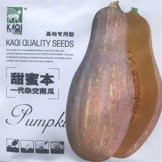 Qingyi xuanmi ben pumpkin seeds high yield sweet noodle giant cream chestnut pumpkin golden hook pumpkin field planted vegetable seed original packaging first generation hybrid sweet pumpkin