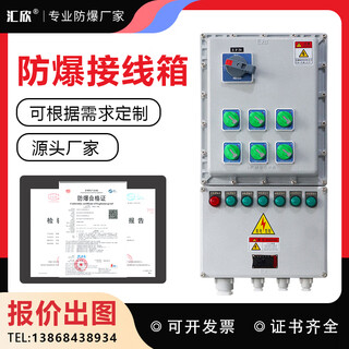 Explosion-proof distribution box 300*600 control and maintenance power box lighting power distribution cabinet junction box customization secondary circuit main switch (220v)