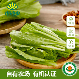 Xiaotangshan organic chinese cabbage 250g fresh vegetables directly supplied from the base, certified organic