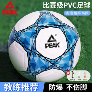 Peak football no. 5 adult children's high school entrance examination standard world cup professional competition training youth primary school student blue