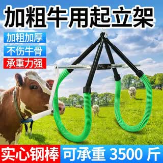 Standing stand for cattle, hanger artifact for big cattle, cattle lifting clamp, special cow standing aid for cattle production