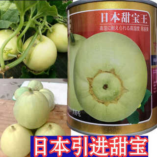 Suri japan sweet treasure melon seeds sweet treasure melon seeds resistant to humidity and heat, storage and transportation, sweet and delicious melon seeds japanese sweet treasure king 1000 capsules