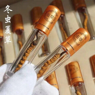 Xueyuantang cordyceps cordyceps whole cordyceps authentic cordyceps selected tonic plateau cordyceps whole cordyceps traditional chinese medicine tonic about 0.5g/root (individually packaged)