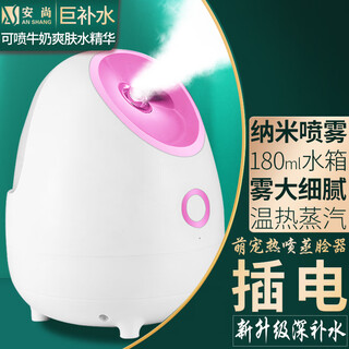 Anshang oxygen injection instrument home hydrating instrument nano sprayer face and eyes beauty instrument moisturizing magic instrument humidification instrument steaming instrument for wife, mother, girlfriend birthday gift plug-in 180ml nano thermal spray powder