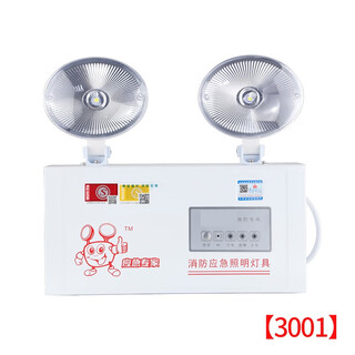 Nast fire emergency light power outage led emergency lighting evacuation light double head light safety export national standard flame retardant plastic head p3001