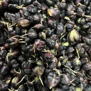 Longshan lily bulbs, edible lilies, fresh balcony green plants, can be potted, yixing lily seeds, bitter taste, 850g lily seeds