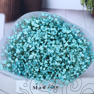 Aiman yunnan straight hair dried flower bouquet real flower home furnishing decoration small fresh living room office decoration air-dried bouquet blue starry sky without vase
