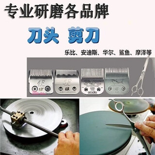 Lebi lebi sharpening head for pet scissors grinding electric scissor head professional grinding andes head pet shaving head