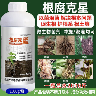 Root rot nemesis, bacillus licheniformis, trichoderma harzianum, dead root blight, withered root medicine, special medicine 1000g*2 bottles