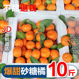 速发广西砂糖桔新鲜纯甜沙糖橘橘子应季小桔子蜜桔金秋薄皮水果 热卖果 3斤净果