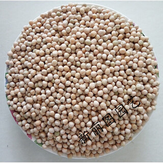 Is pigeon feed corn, sorghum, wheat, peas, pigeon food nutrition, pigeon food, bird food, pigeon food, letter for young pigeons, peas, 5 jin, jin is equal to 0.5 kg