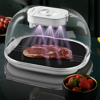 Cm live thawing artifact household rapid thawing steak preservation heat conductor rapid ice melting frozen food thawing device commercial upgraded version thawing preservation device