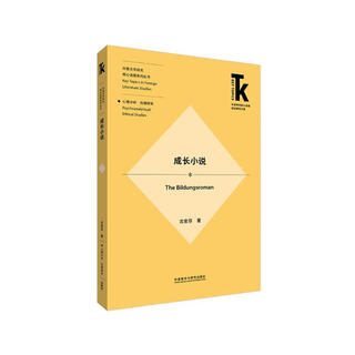 Bildungsroman (frontier research library on core topics in foreign language subjects. core topics in foreign literature research series)