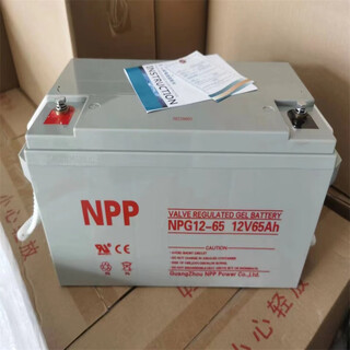 耐普太阳能胶体蓄电池12V100Ah65.38.24.17.120.UPS直流屏EPS 12V65Ah