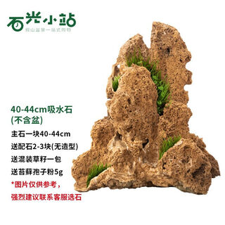 Shiguang station absorbent stone natural stone bonsai fish tank courtyard large fish pond landscaping absorbent stone original stone water stone bonsai 40-44cm absorbent stone does not include basin