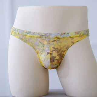 Xinhuang mesh sexy printed bag panties men's transparent breathable ultra-thin thong men's mid-low waist comfortable yellow l