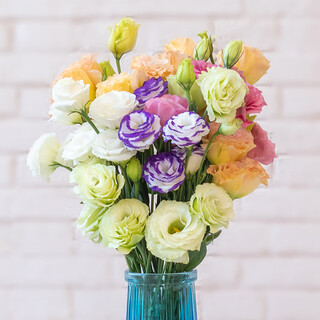 Love (love) lisianthus flowers yunnan base straight hair real flowers home vase water culture decoration living room bedroom bouquet with flowers random mix and match lisianthus (20-30 flowers)