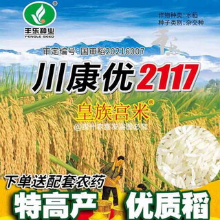 Chuankangyou 2117 2115 hybrid fragrant rice seeds high-yielding hybrid rice seeds long-grain fragrant rice
