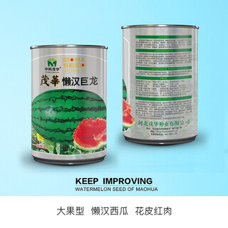 Zhongke maohua fruit and vegetable seeds lazy giant dragon flower skin red flesh watermelon seeds large fruit type no-pruning lazy man super sweet big red flesh single melon 20jin jin is equal to 0.5kg lazy giant dragon 50g 2 boxes