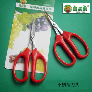 Xmsj nongfule grape fruit pruning scissors with tilted heads, vegetable melons, fruit gardening, potted fruit branch pruning and flower arranging scissors, flat-head scissors