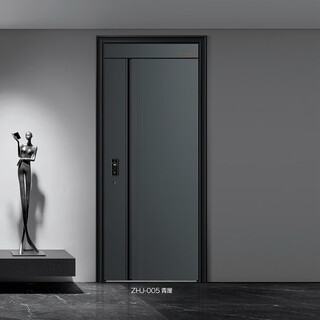 臻华居ZHJ-005-青厘   入户门安全门防盗门