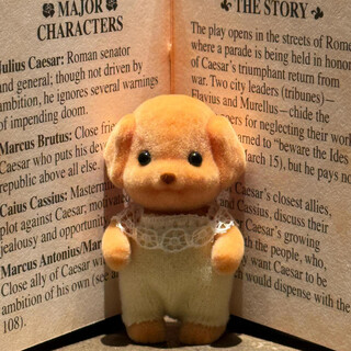 Play house toy poodle little nose ga doll puppy golden retriever plush toy student birthday gift gift poodle with movable limbs gift box of 2