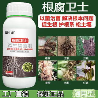 Root rot guard genuine root rot special medicine root rot net blight withered and rotten roots rapid sterilization and antibacterial general purpose root rot guard large bottle 500g 1 bottle