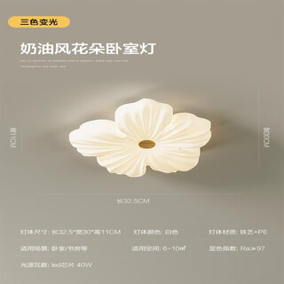 Lepptoy灯具大全2023款客厅卧室灯餐厅灯花朵客厅灯吸顶灯奶油风花瓣主卧 全光谱【护眼≥97】白色32CM三