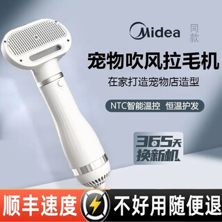 Pet hair dryer, all-in-one quick-drying bichon teddy fluffy comb, cat and dog bathing and blow-drying tool, flagship white, dual-core motor + protective coating + temperature control, 20-year warranty (millions, pursuit of quality)