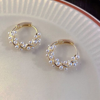 Countercurrent fish minimalist style high-end wrap circle earrings women's light luxurious temperament earrings french romantic internet celebrity earrings