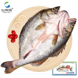 Xianquan lake three-cut white banana sea bass 400g/eviscerated frozen spines less meat thick specialty ingredients fresh aquatic products