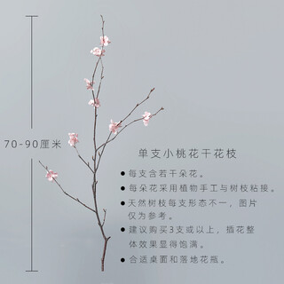 Aesthetic hacker handmade birch trunks mountain twisted magnolia branches bouquet living room decoration dried flowers real flowers flower arrangement home interior one peach blossom