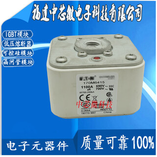 170m6415 170m6416 170m6417 170m6418 170m6419-fuse 170m6415(1100a/690v)