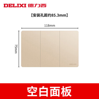 Type 118 switch socket 691 gold twelve-hole six-nine-hole concealed 15-hole wall panel small blank panel