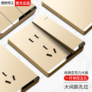 国际电工开关插座面板金色家用86型墙壁暗装双控五孔带开关USB电源5孔插座 一开单控五孔插座