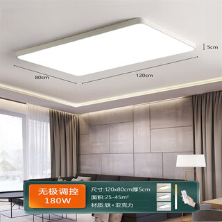 Lepptoy1.2米*80的吸顶灯客厅灯1米2长方形新led办公室灯具超亮平板大灯 白色120*80cm无极调光带遥控180
