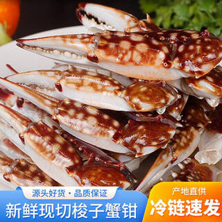 Jingdong cold chain swimming crab claws fresh seafood aquatic products fresh frozen zhoushan swimming crab claws commercial wholesale large swimming crab claws 1000g