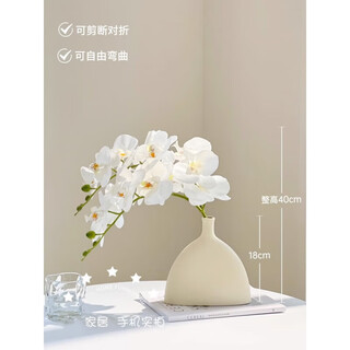 Flower e-flow phalaenopsis artificial flower fake flower table decoration light luxury high-end flower arrangement dining table floral decoration home decoration 2 white branches + narrow mouth flat bottle