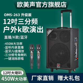 European and american sound 263 outdoor audio karaoke special all-in-one machine with sound card professional three-way singing high-power portable square dance bluetooth trolley speaker with wireless microphone 12 inches 12 inches/263+2 microphones + spree