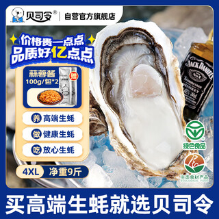Bassling fresh rushan ecological oysters 4xl net weight 9jin jin is equal to 0.5kg 17-23 pieces straight from the source