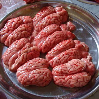 Ersanwang beef, fresh frozen pig brains, left and right brains plus cerebellum, hot pot barbecue pig brains, 8 pairs
