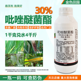 30% pyraclostrobin, pyraclostrobin, onion, ginger, banana, wheat, black star, downy mildew, rust, pesticide and fungicide 500g
