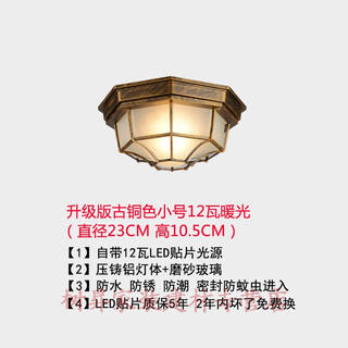 别墅大门口灯大门户外室外阳台入户门口过道走廊吸顶灯欧式复古防水防潮八角灯LED 升级版小号古铜色12W暧光