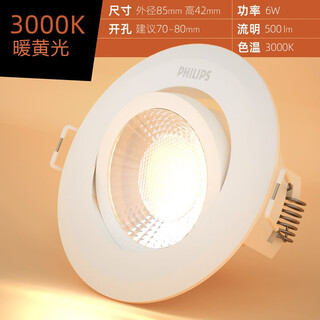 飞利浦led射灯3W可调节天花灯服装店背景墙灯牛眼灯RS100聚光中性 6W(3000K暖光色)开孔70-75mm