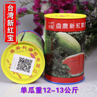Chunzhiyun new hongbao watermelon seed authentic medium late maturity large fruit shape red heart green skin single melon weight 13kg 200g new hongbao original 200g planted 4 acres