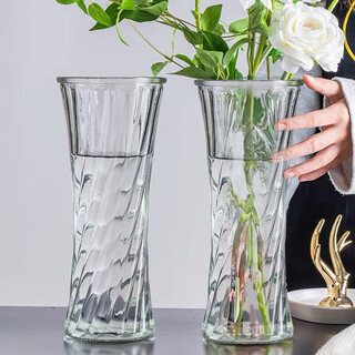 Extreme space vase glass rich bamboo large vase living room vase hydroponic container nordic style decorative ornaments 29cm