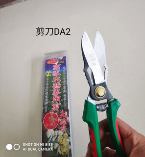 Garlic scissors for cutting garlic stems, fruit picking scissors for processing, garlic scissors, scissors da2